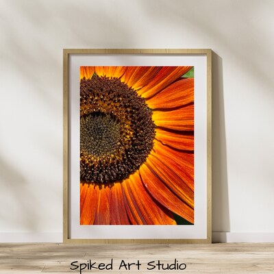 Sunflower two piece best sale outfit